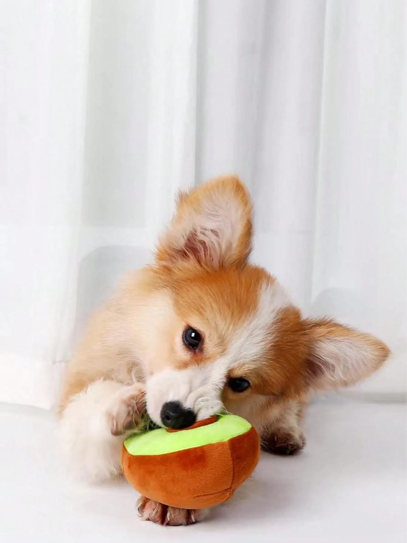 1pc Pet Squeaky Plush Toy, Designed In Kiwi/Avocado Shape, Bite Resistant And Fun For Your Pet To Play And Vent