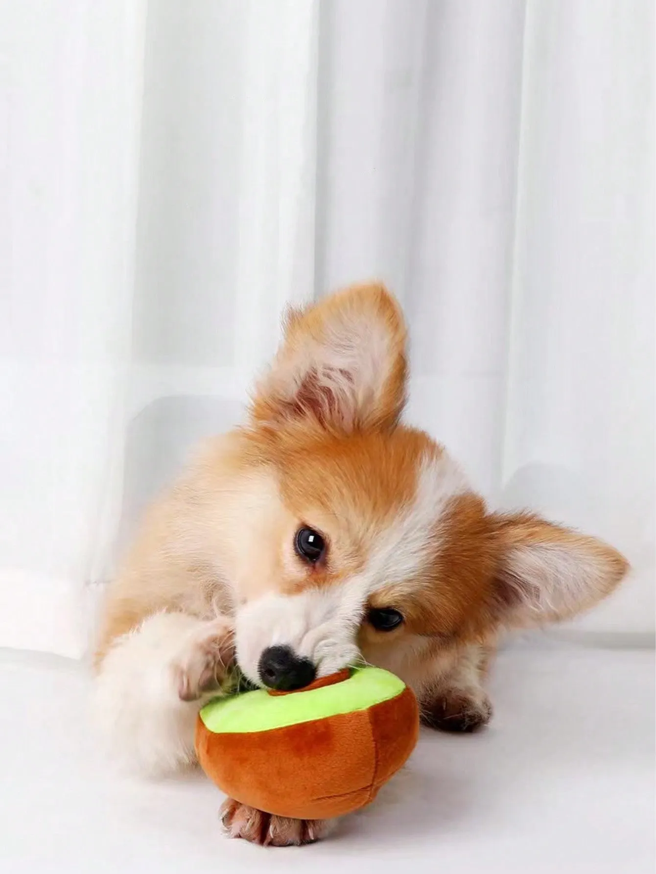 1pc Pet Squeaky Plush Toy, Designed In Kiwi/Avocado Shape, Bite Resistant And Fun For Your Pet To Play And Vent