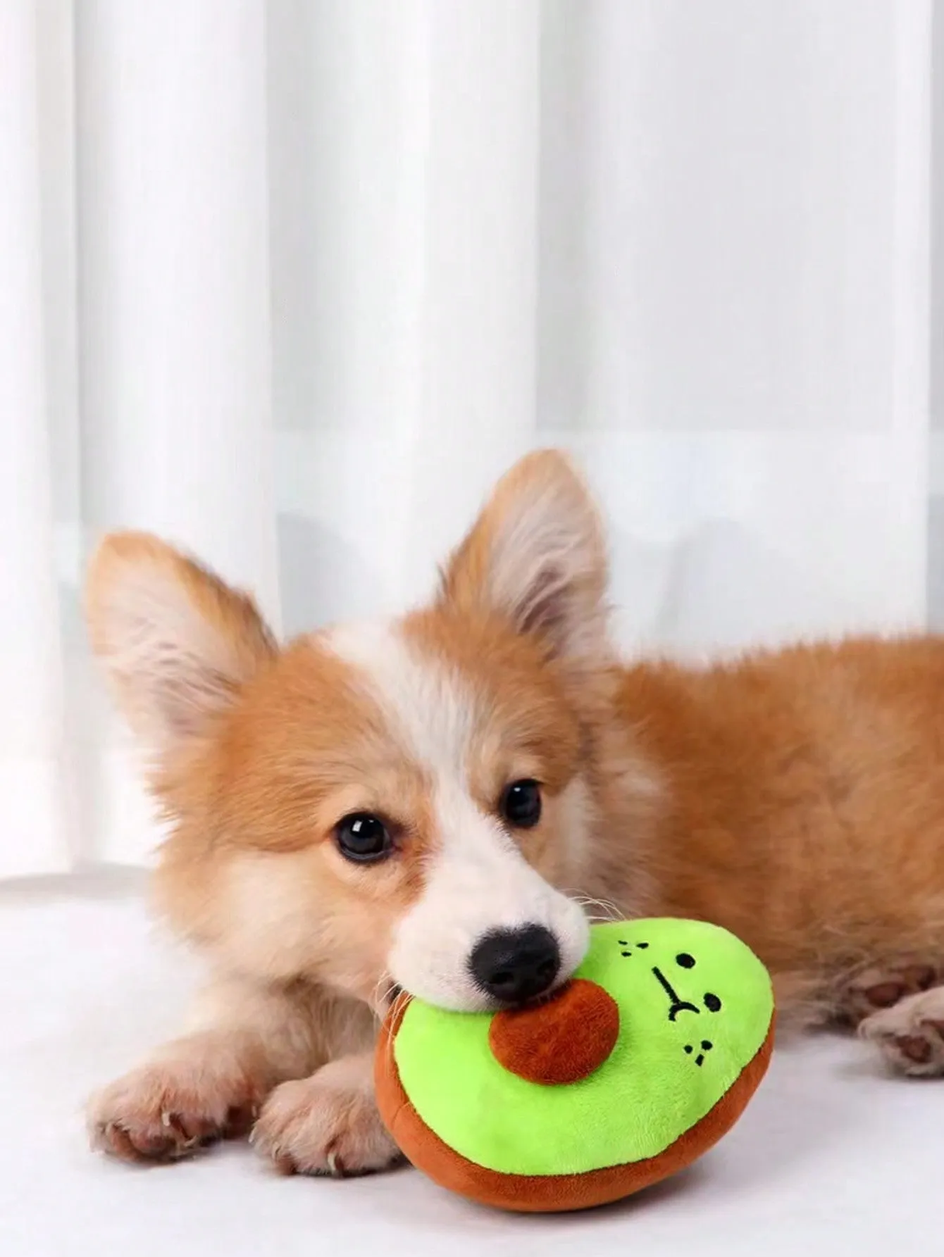 1pc Pet Squeaky Plush Toy, Designed In Kiwi/Avocado Shape, Bite Resistant And Fun For Your Pet To Play And Vent