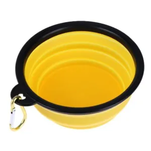 Collapsible Feeding Bowl