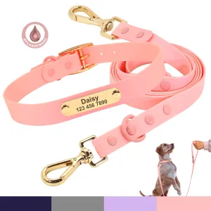 Customized Dog Collar Leash Set