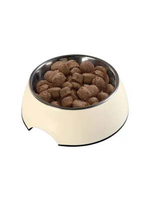 Dog Food Bowl