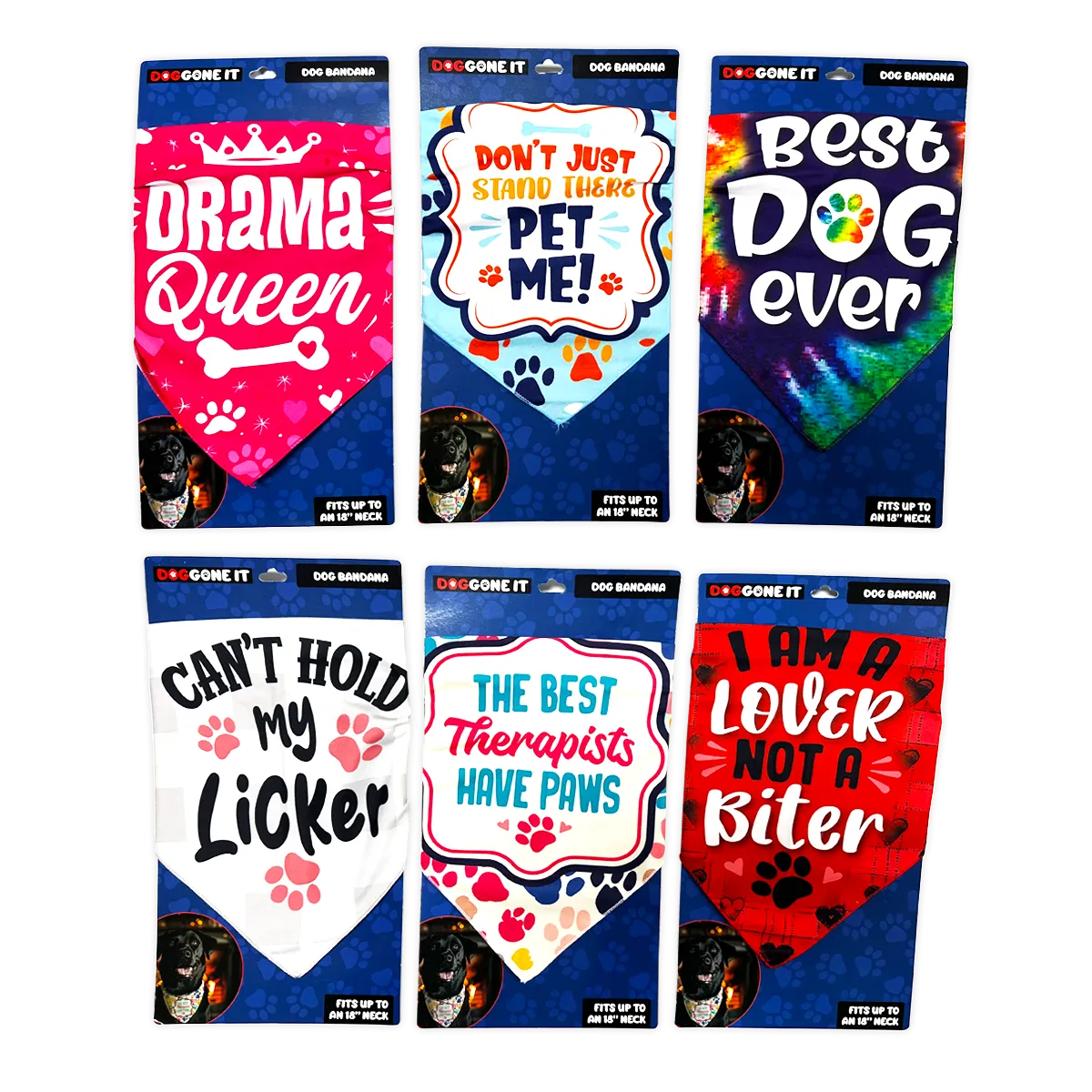 DogGone It Assorted Pet Supplies Floor Display - 42 Pieces Per Retail Ready Display 88600