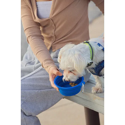 Feed 'N Go Collapsible Pet Bowl with Carabiner
