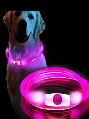 Led Collar