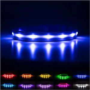 LED Dog Collar - Bright, USB Rechargeable & Waterproof with 1,000 Ft Visibility for Night Walks