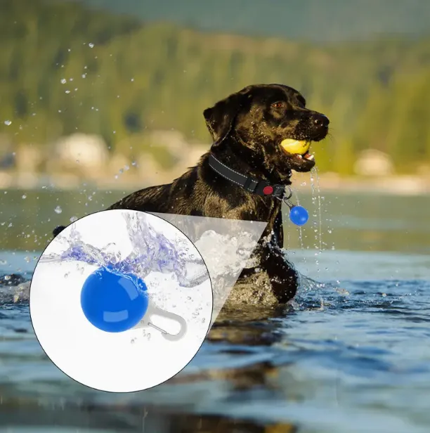 LED Dog Collar Safety Lights