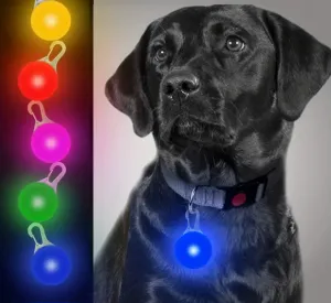 LED Dog Collar Safety Lights