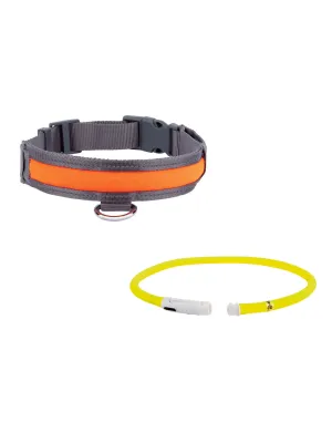 Led-Dog Collar