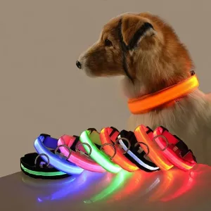 LED Night Collar