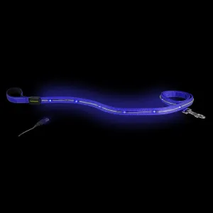 Loomo LED Dog Lead Blue