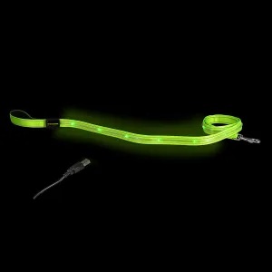 Loomo LED Dog Lead Green