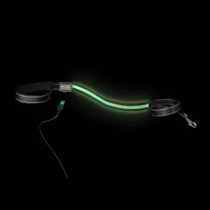 Loomo Moonshine LED Dog Lead Green