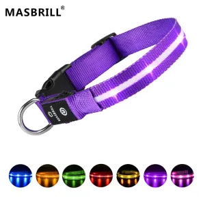 MASBRILL Light-up dog collar