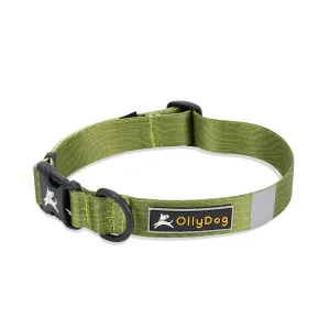 NEW Flagstaff Collar | Adjustable Dog Collar