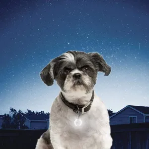 Nite Ize Petlit Collar Light for Dogs and Cats