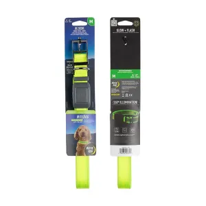 NiteDog Rechargeable LED Collar - Medium