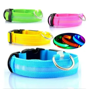 Nylon LED Pet Collar or Pendant