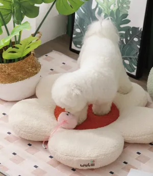 Pet Bed Flower Shaped Soft Plush Cat Dog Cushion Two Forms